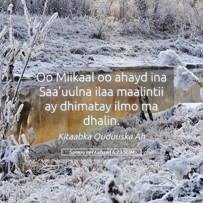 Picture 05 - Samuu'eel Labaad 6:23 SOM - Oo Miikaal oo ahayd ina Saa'uulna ilaa maalintii - Bible Verse Picture