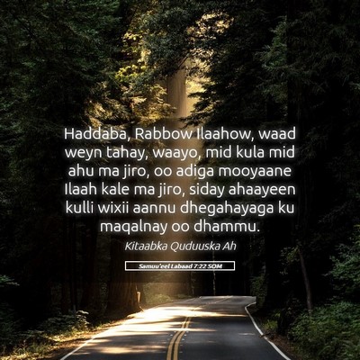 Picture 05 - Samuu'eel Labaad 7:22 SOM - Haddaba, Rabbow Ilaahow, waad weyn tahay, waayo, - Bible Verse Picture