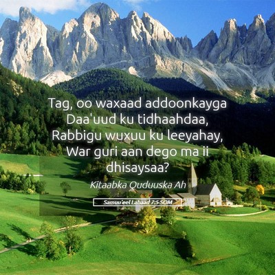 Picture 05 - Samuu'eel Labaad 7:5 SOM - Tag, oo waxaad addoonkayga Daa'uud ku tidhaahdaa, - Bible Verse Picture