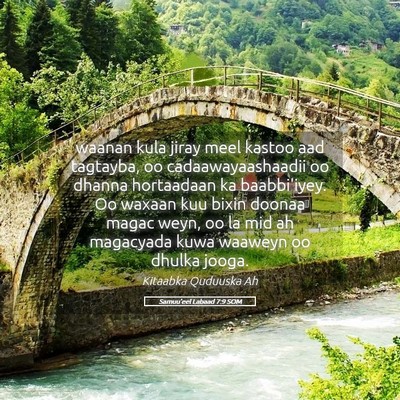 Picture 05 - Samuu'eel Labaad 7:9 SOM - waanan kula jiray meel kastoo aad tagtayba, oo - Bible Verse Picture