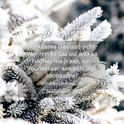 Picture 05 - Samuu'eel Labaad 9:1 SOM - Markaasaa Daa'uud yidhi, War reerkii Saa'uul wax - Bible Verse Picture