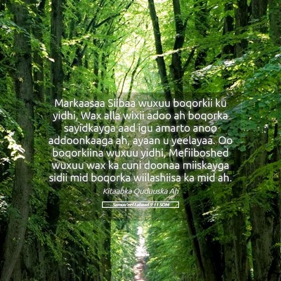 Picture 05 - Samuu'eel Labaad 9:11 SOM - Markaasaa Siibaa wuxuu boqorkii ku yidhi, Wax - Bible Verse Picture