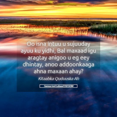 Picture 05 - Samuu'eel Labaad 9:8 SOM - Oo isna intuu u sujuuday ayuu ku yidhi, Bal - Bible Verse Picture