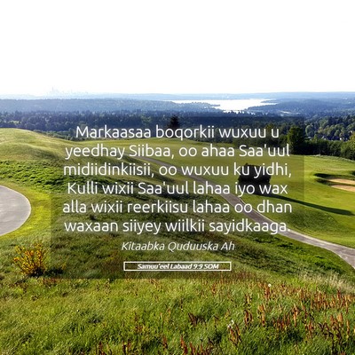 Picture 05 - Samuu'eel Labaad 9:9 SOM - Markaasaa boqorkii wuxuu u yeedhay Siibaa, oo - Bible Verse Picture