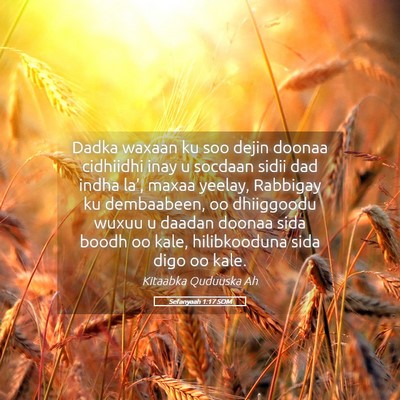 Picture 05 - Sefanyaah 1:17 SOM - Dadka waxaan ku soo dejin doonaa cidhiidhi inay u - Bible Verse Picture