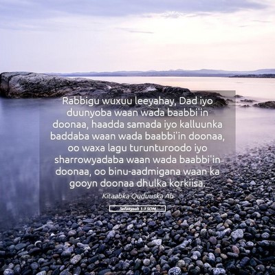 Picture 05 - Sefanyaah 1:3 SOM - Rabbigu wuxuu leeyahay, Dad iyo duunyoba waan - Bible Verse Picture