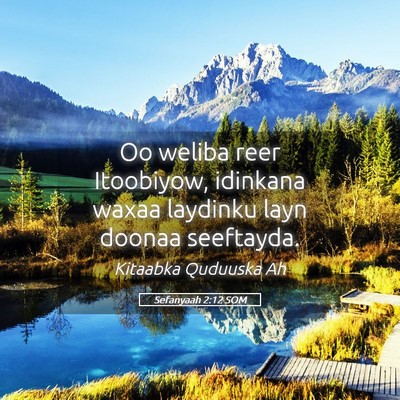 Picture 05 - Sefanyaah 2:12 SOM - Oo weliba reer Itoobiyow, idinkana waxaa laydinku - Bible Verse Picture
