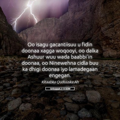 Picture 05 - Sefanyaah 2:13 SOM - Oo isagu gacantiisuu u fidin doonaa xagga - Bible Verse Picture