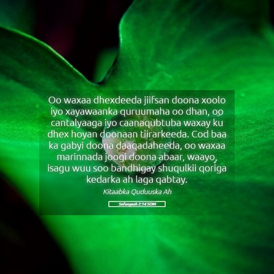 Picture 05 - Sefanyaah 2:14 SOM - Oo waxaa dhexdeeda jiifsan doona xoolo iyo - Bible Verse Picture
