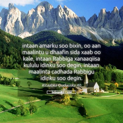 Picture 05 - Sefanyaah 2:2 SOM - intaan amarku soo bixin, oo aan maalintu u - Bible Verse Picture