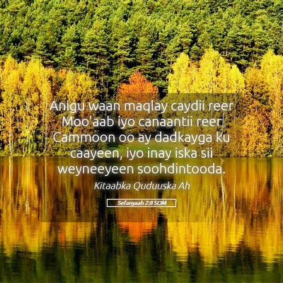 Picture 05 - Sefanyaah 2:8 SOM - Anigu waan maqlay caydii reer Moo'aab iyo - Bible Verse Picture
