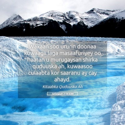 Picture 05 - Sefanyaah 3:18 SOM - Waxaan soo ururin doonaa kuwaagii laga - Bible Verse Picture