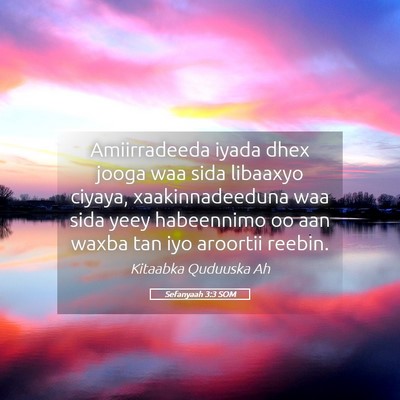 Picture 05 - Sefanyaah 3:3 SOM - Amiirradeeda iyada dhex jooga waa sida libaaxyo - Bible Verse Picture