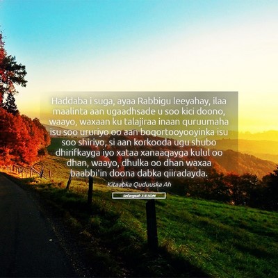 Picture 05 - Sefanyaah 3:8 SOM - Haddaba i suga, ayaa Rabbigu leeyahay, ilaa - Bible Verse Picture