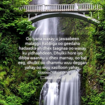 Picture 05 - Sekaryaah 1:11 SOM - Oo iyana waxay u jawaabeen malaggii Rabbiga oo - Bible Verse Picture