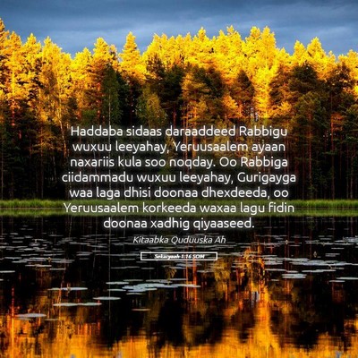 Picture 05 - Sekaryaah 1:16 SOM - Haddaba sidaas daraaddeed Rabbigu wuxuu leeyahay, - Bible Verse Picture