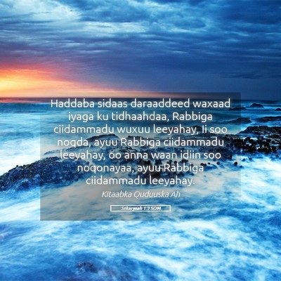 Picture 05 - Sekaryaah 1:3 SOM - Haddaba sidaas daraaddeed waxaad iyaga ku - Bible Verse Picture
