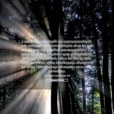 Picture 05 - Sekaryaah 1:6 SOM - Laakiinse erayadaydii iyo qaynuunnadaydii aan - Bible Verse Picture