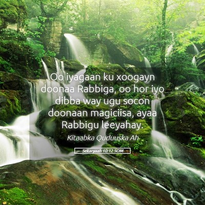 Picture 05 - Sekaryaah 10:12 SOM - Oo iyagaan ku xoogayn doonaa Rabbiga, oo hor iyo - Bible Verse Picture