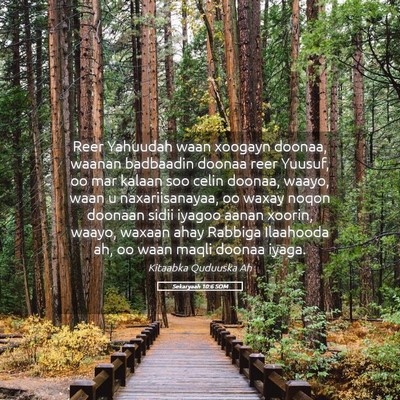 Picture 05 - Sekaryaah 10:6 SOM - Reer Yahuudah waan xoogayn doonaa, waanan - Bible Verse Picture
