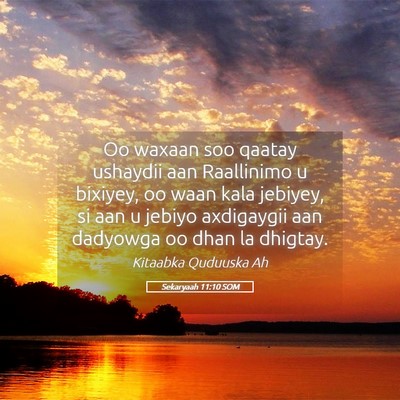 Picture 05 - Sekaryaah 11:10 SOM - Oo waxaan soo qaatay ushaydii aan Raallinimo u - Bible Verse Picture