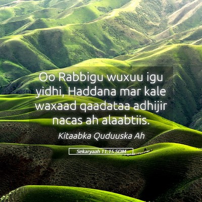 Picture 05 - Sekaryaah 11:15 SOM - Oo Rabbigu wuxuu igu yidhi, Haddana mar kale - Bible Verse Picture