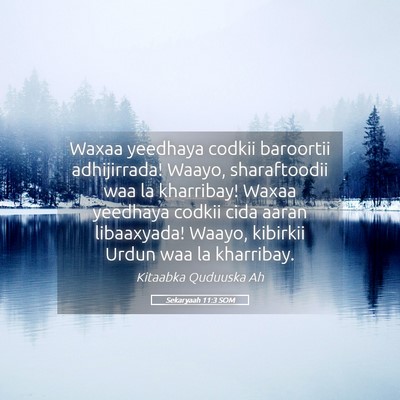Picture 05 - Sekaryaah 11:3 SOM - Waxaa yeedhaya codkii baroortii adhijirrada! - Bible Verse Picture