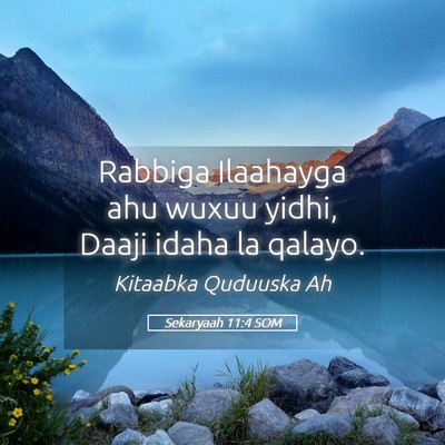 Picture 05 - Sekaryaah 11:4 SOM - Rabbiga Ilaahayga ahu wuxuu yidhi, Daaji idaha la - Bible Verse Picture