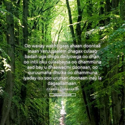 Picture 05 - Sekaryaah 12:3 SOM - Oo waxay wakhtigaas ahaan doontaa inaan - Bible Verse Picture