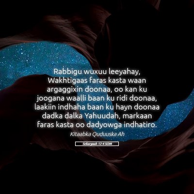Picture 05 - Sekaryaah 12:4 SOM - Rabbigu wuxuu leeyahay, Wakhtigaas faras kasta - Bible Verse Picture