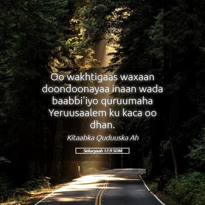 Picture 05 - Sekaryaah 12:9 SOM - Oo wakhtigaas waxaan doondoonayaa inaan wada - Bible Verse Picture