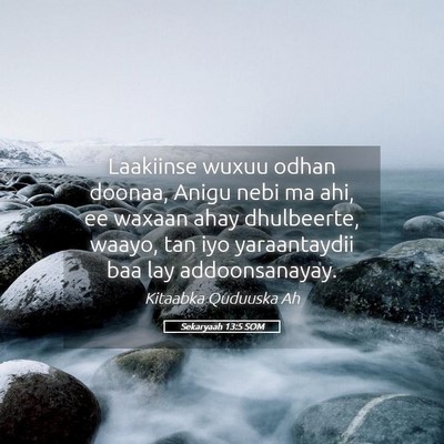Picture 05 - Sekaryaah 13:5 SOM - Laakiinse wuxuu odhan doonaa, Anigu nebi ma ahi, - Bible Verse Picture