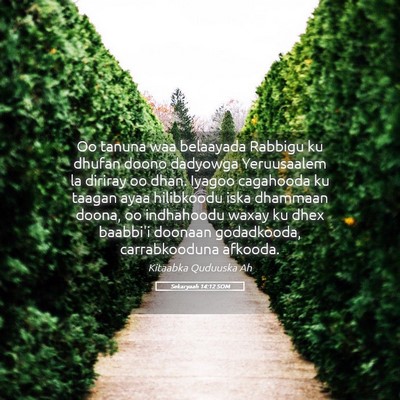 Picture 05 - Sekaryaah 14:12 SOM - Oo tanuna waa belaayada Rabbigu ku dhufan doono - Bible Verse Picture