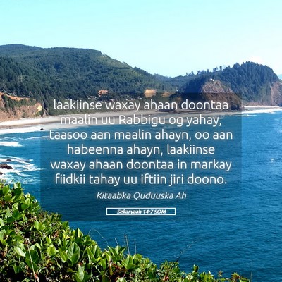 Picture 05 - Sekaryaah 14:7 SOM - laakiinse waxay ahaan doontaa maalin uu Rabbigu - Bible Verse Picture