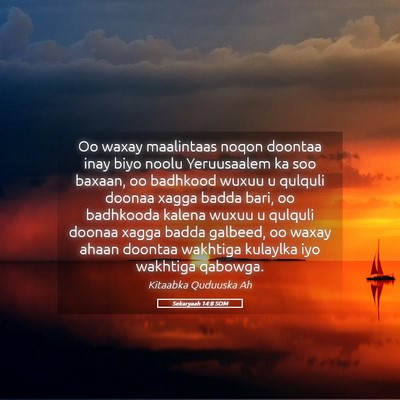 Picture 05 - Sekaryaah 14:8 SOM - Oo waxay maalintaas noqon doontaa inay biyo noolu - Bible Verse Picture