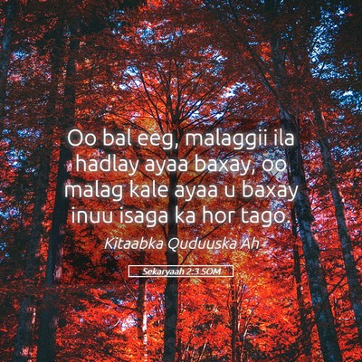 Picture 05 - Sekaryaah 2:3 SOM - Oo bal eeg, malaggii ila hadlay ayaa baxay, oo - Bible Verse Picture