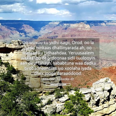 Picture 05 - Sekaryaah 2:4 SOM - Oo wuxuu ku yidhi isagii, Orod, oo la hadal - Bible Verse Picture