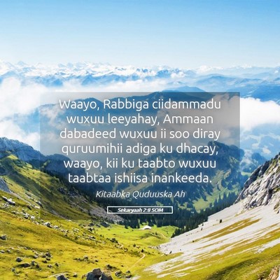 Picture 05 - Sekaryaah 2:8 SOM - Waayo, Rabbiga ciidammadu wuxuu leeyahay, Ammaan - Bible Verse Picture
