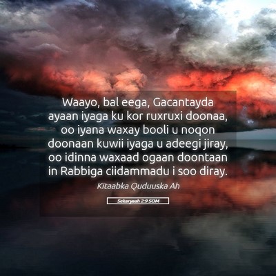 Picture 05 - Sekaryaah 2:9 SOM - Waayo, bal eega, Gacantayda ayaan iyaga ku kor - Bible Verse Picture
