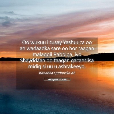 Picture 05 - Sekaryaah 3:1 SOM - Oo wuxuu i tusay Yashuuca oo ah wadaadka sare oo - Bible Verse Picture