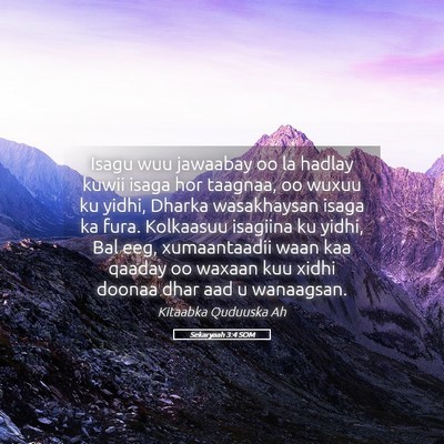 Picture 05 - Sekaryaah 3:4 SOM - Isagu wuu jawaabay oo la hadlay kuwii isaga hor - Bible Verse Picture