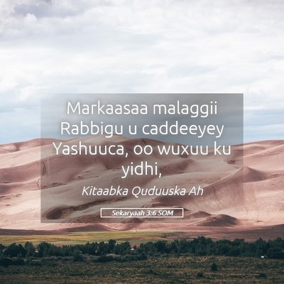 Picture 05 - Sekaryaah 3:6 SOM - Markaasaa malaggii Rabbigu u caddeeyey Yashuuca, - Bible Verse Picture