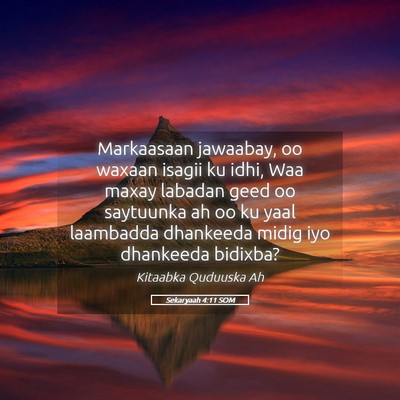 Picture 05 - Sekaryaah 4:11 SOM - Markaasaan jawaabay, oo waxaan isagii ku idhi, - Bible Verse Picture