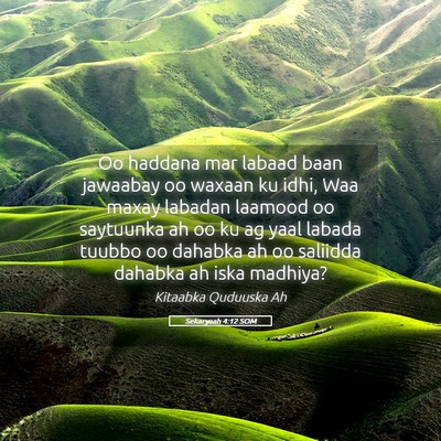 Picture 05 - Sekaryaah 4:12 SOM - Oo haddana mar labaad baan jawaabay oo waxaan ku - Bible Verse Picture