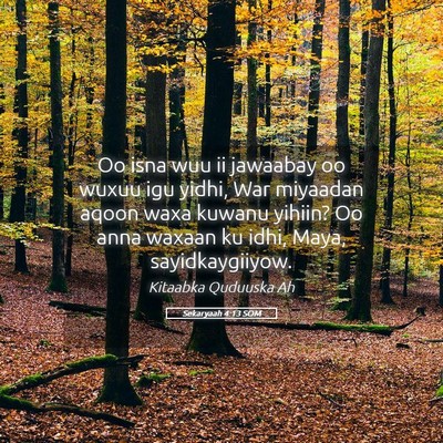 Picture 05 - Sekaryaah 4:13 SOM - Oo isna wuu ii jawaabay oo wuxuu igu yidhi, War - Bible Verse Picture