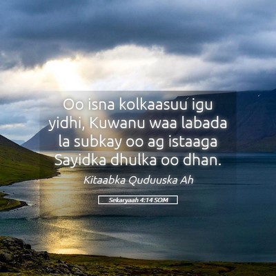 Picture 05 - Sekaryaah 4:14 SOM - Oo isna kolkaasuu igu yidhi, Kuwanu waa labada la - Bible Verse Picture