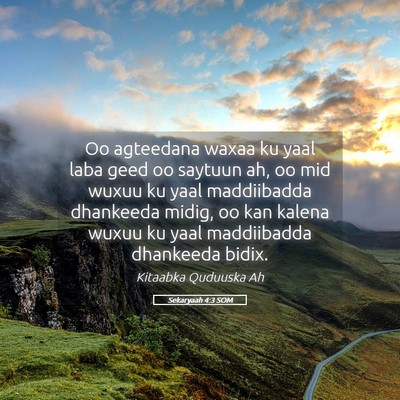 Picture 05 - Sekaryaah 4:3 SOM - Oo agteedana waxaa ku yaal laba geed oo saytuun - Bible Verse Picture