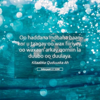 Picture 05 - Sekaryaah 5:1 SOM - Oo haddana indhaha baan kor u taagay oo wax - Bible Verse Picture