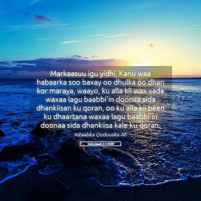 Picture 05 - Sekaryaah 5:3 SOM - Markaasuu igu yidhi, Kanu waa habaarka soo baxay - Bible Verse Picture