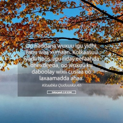 Picture 05 - Sekaryaah 5:8 SOM - Oo haddana wuxuu igu yidhi, Tanu waa xumaan. - Bible Verse Picture